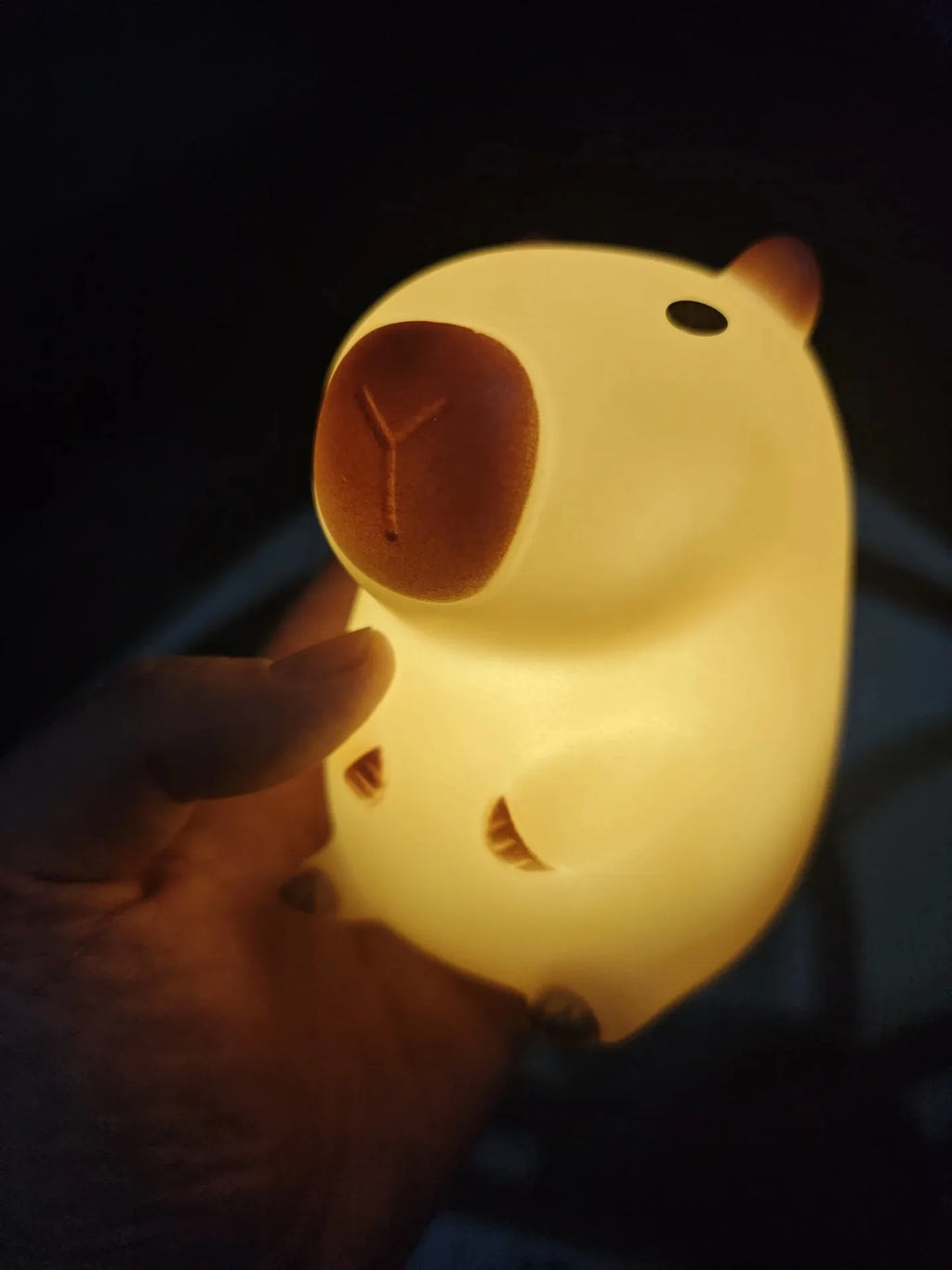 Capybara led lamp