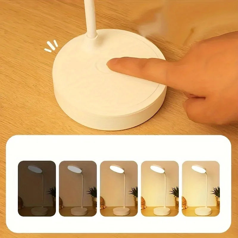 LED Desk lamp